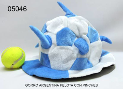 Imagen de GORRO ARGENTINA PELOTA CON PINCHES 2.24